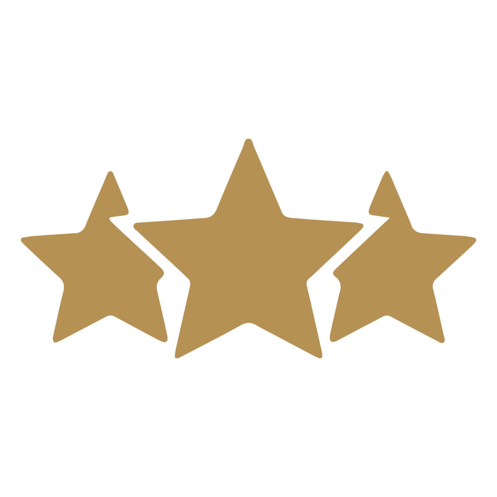 icono 4